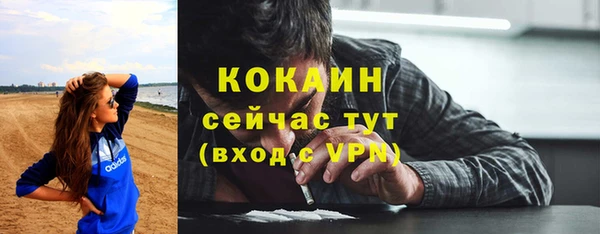 ГАЛЛЮЦИНОГЕННЫЕ ГРИБЫ Абаза