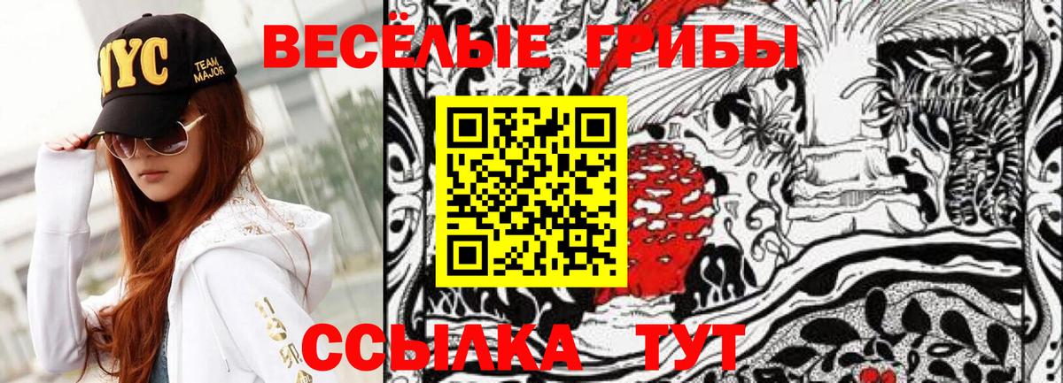 Галлюциногенные грибы Cubensis Анапа