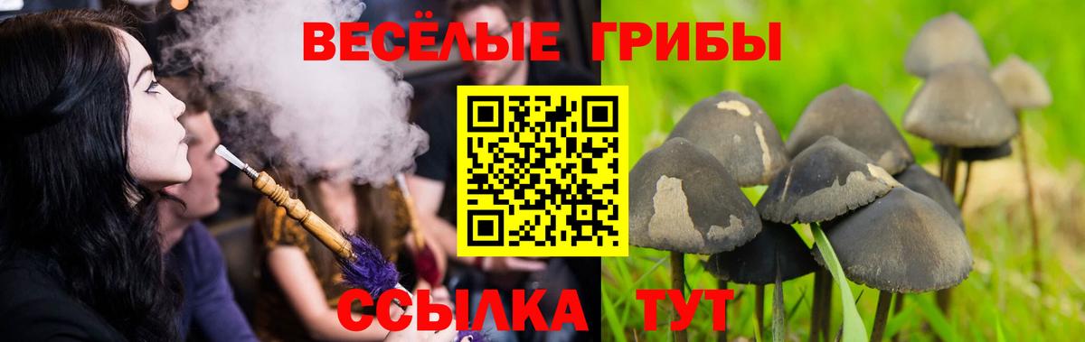 Псилоцибиновые грибы GOLDEN TEACHER  Вход с VPN  Анапа 